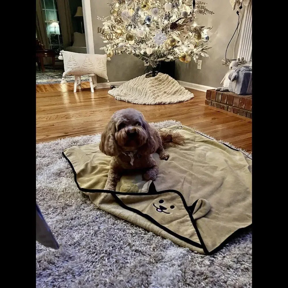 NWT Canine Commerce The Dante Towel - Cotton XXL Dog Towel FREE GIFT WRAP